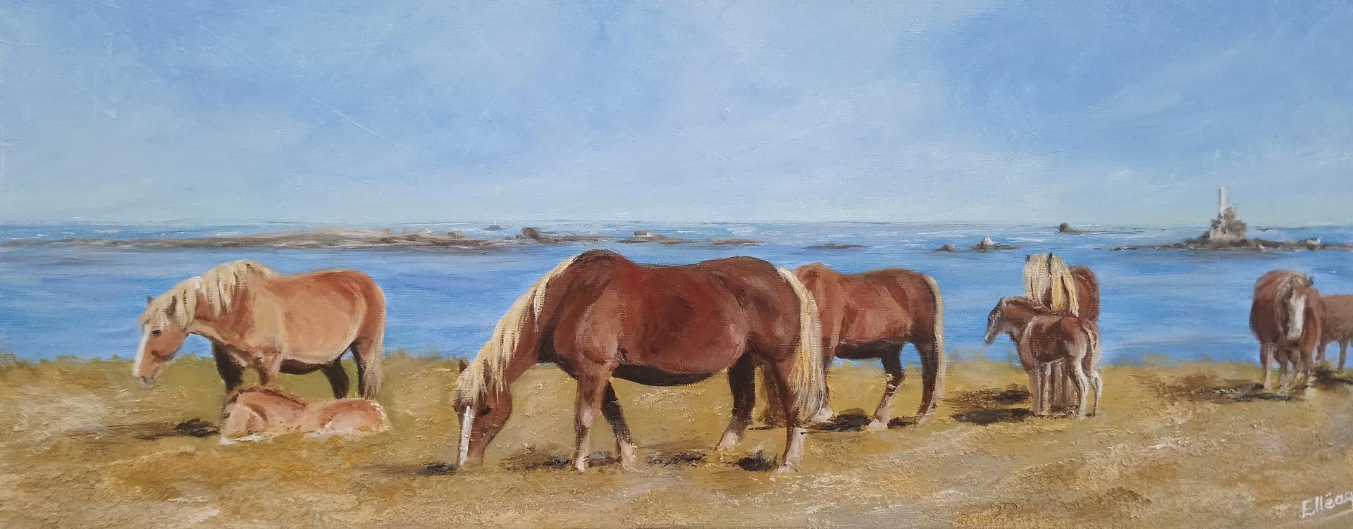 chevaux sur la côte - vendu