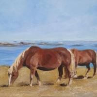 chevaux sur la côte - vendu