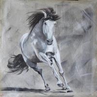 cheval gris
