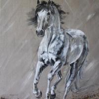 cheval gris