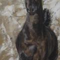 cheval bai-brun - vendu