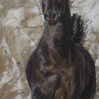 cheval bai-brun - vendu