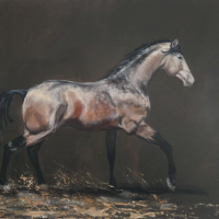 le cheval de Loryne1 - vendu