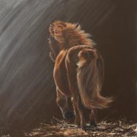 Le poney fugueur