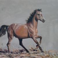 Rival - vendu