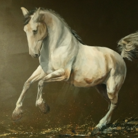 Sapeur